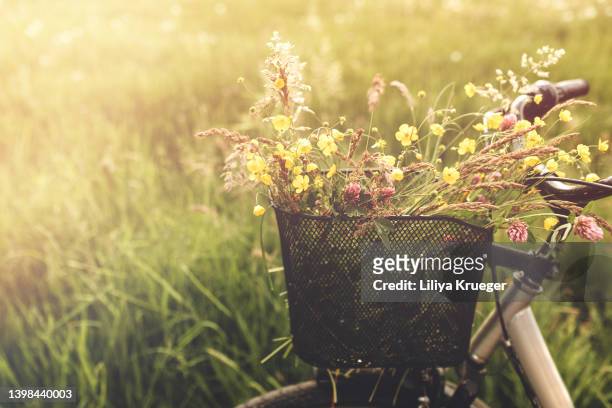 bicycle in the field with basket of wildflowers. - bike flowers ストックフォトと画像