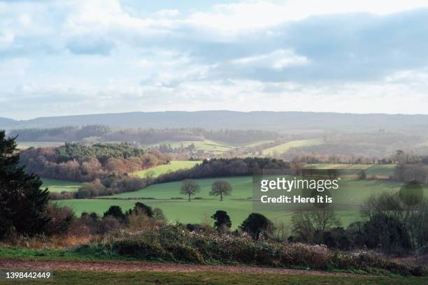 newlands corner, guildford - surrey england stock pictures, royalty-free photos & images