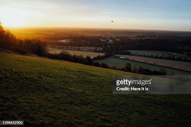 box hill sunrise - surrey england stock-fotos und bilder