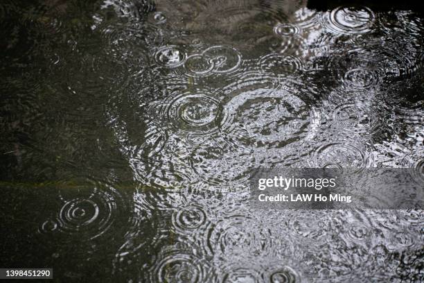 raindrops ripple on the water surface - water ripple stock-fotos und bilder