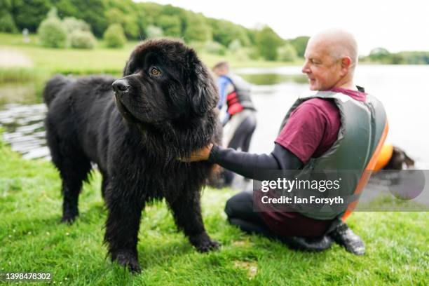 An owner sits with his dog as Working Newfoundland Water Rescue Dogs give a demonstration during the first day of the Castle Howard Festival of Dogs...