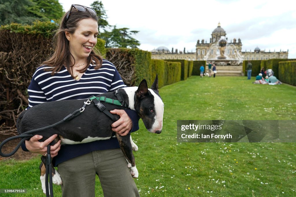 The Festival Of Dogs Weekend Begins At Castle Howard