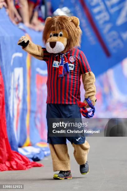 Mascot Proeppi of Wuppertal is seen during the State Cup Final Lower Rhine between SV Straelen and Wuppertaler SV at Schauinslandreisen Arena on May...