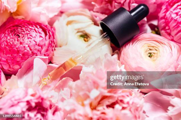 glass pipette of face serum with polyglutamic acid is lying on gentle pink peonies and ranunculus. beautiful backdrop for your design. macro photography from above - oil macro stock pictures, royalty-free photos & images