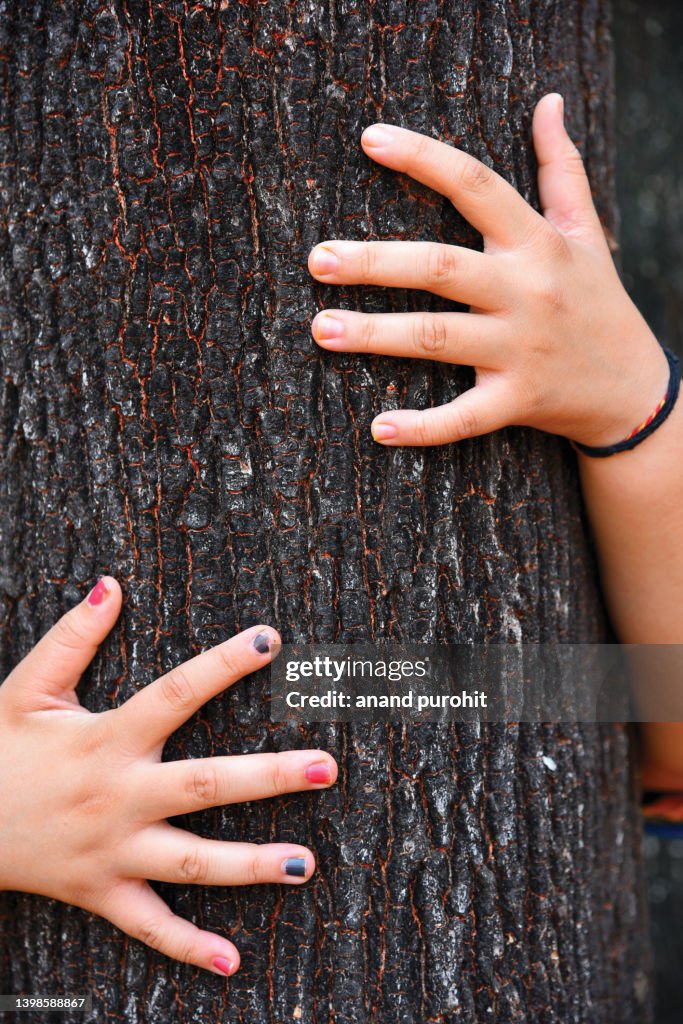 Hug a tree