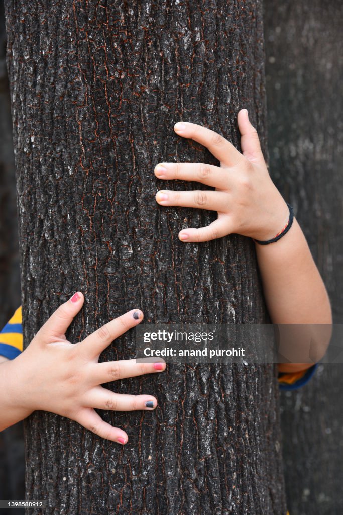 Hug a tree