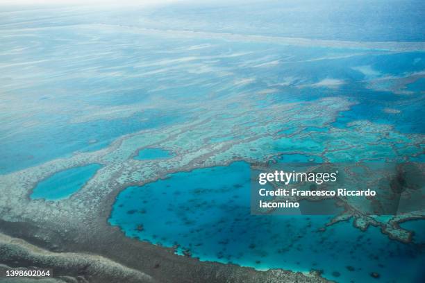 great barrier reef from above, scenic flight in queensland, australia - lagoon stock-fotos und bilder