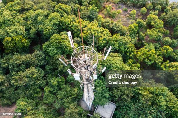 5g cellular communications tower in the forest - 5g tower stock pictures, royalty-free photos & images