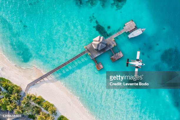 beautiful aerial view of maldives shore, pier villa seaplane top view, wooden boat dhoni and tropical beach. palm trees white sand, sea. luxury travel and vacation concept. amazing aerial landscape - watervliegtuig stockfoto's en -beelden