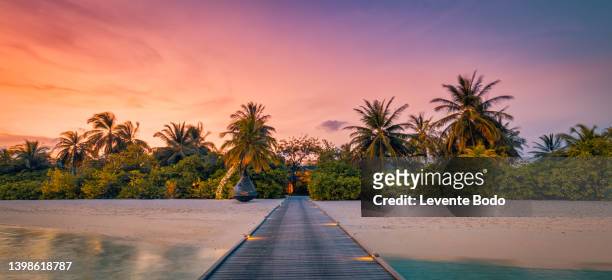 fantastic island beach and sunset sky with palm tree leaves. luxury tropical beach landscape, wooden jetty into over water villas, bungalows amazing scenic. vacation resort, exotic hotel landscape - malediven stock-fotos und bilder