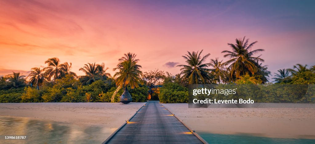 Fantastic island beach and sunset sky with palm tree leaves. Luxury tropical beach landscape, wooden jetty into over water villas, bungalows amazing scenic. Vacation resort, exotic hotel landscape