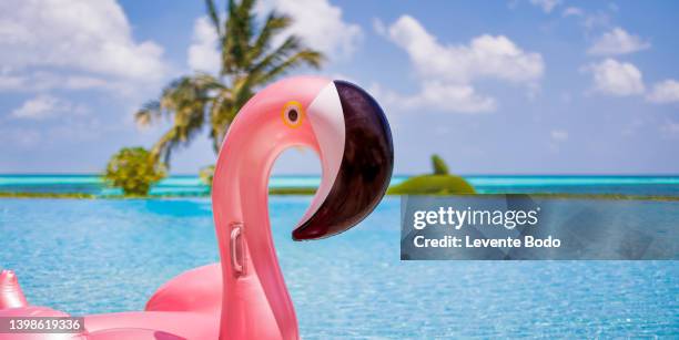 inflatable flamingo ring floating in sunny swimming pool. luxury tropical resort, family summer relaxing concept. palm trees and sunny tropical beach pool - inflatable pool toys imagens e fotografias de stock