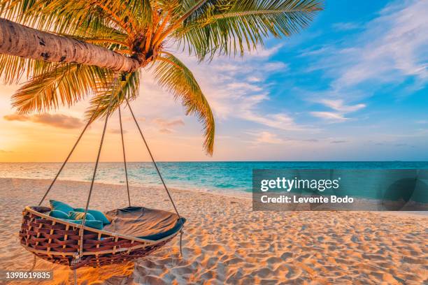 beautiful tropical sunset beach and sky background as exotic summer landscape with beach swing or hammock and white sand and calm sea beach banner. paradise island beach vacation or summer holiday destination - oceano índico fotografías e imágenes de stock