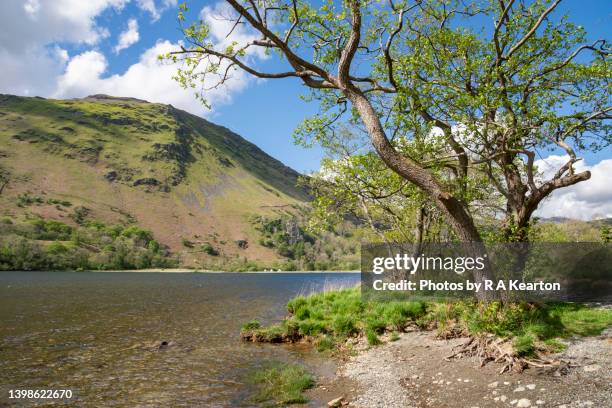 llyn gwynant in snowdonia national park, north wales - snowdonia national park stock-fotos und bilder