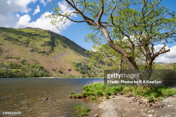 llyn gwynant in snowdonia national park, north wales - snowdonia wales stock pictures, royalty-free photos & images