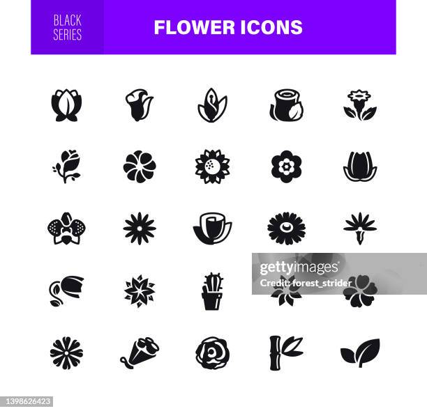 flower icons. the set contains icons as springtime, floral pattern, lotus water lily, wellbeing - dandelion tea stock illustrations