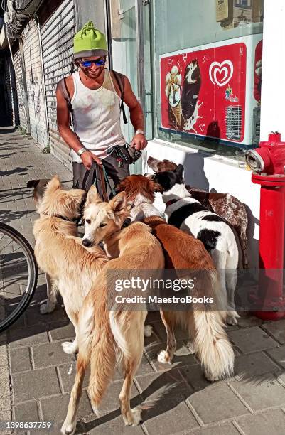 jeune homme cool promenant ses quatre chiens à tel aviv. - tel aviv photos et images de collection