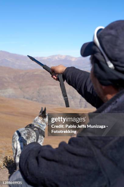 adult man points with a hiking pole towards the landscape - hiking pole photos et images de collection