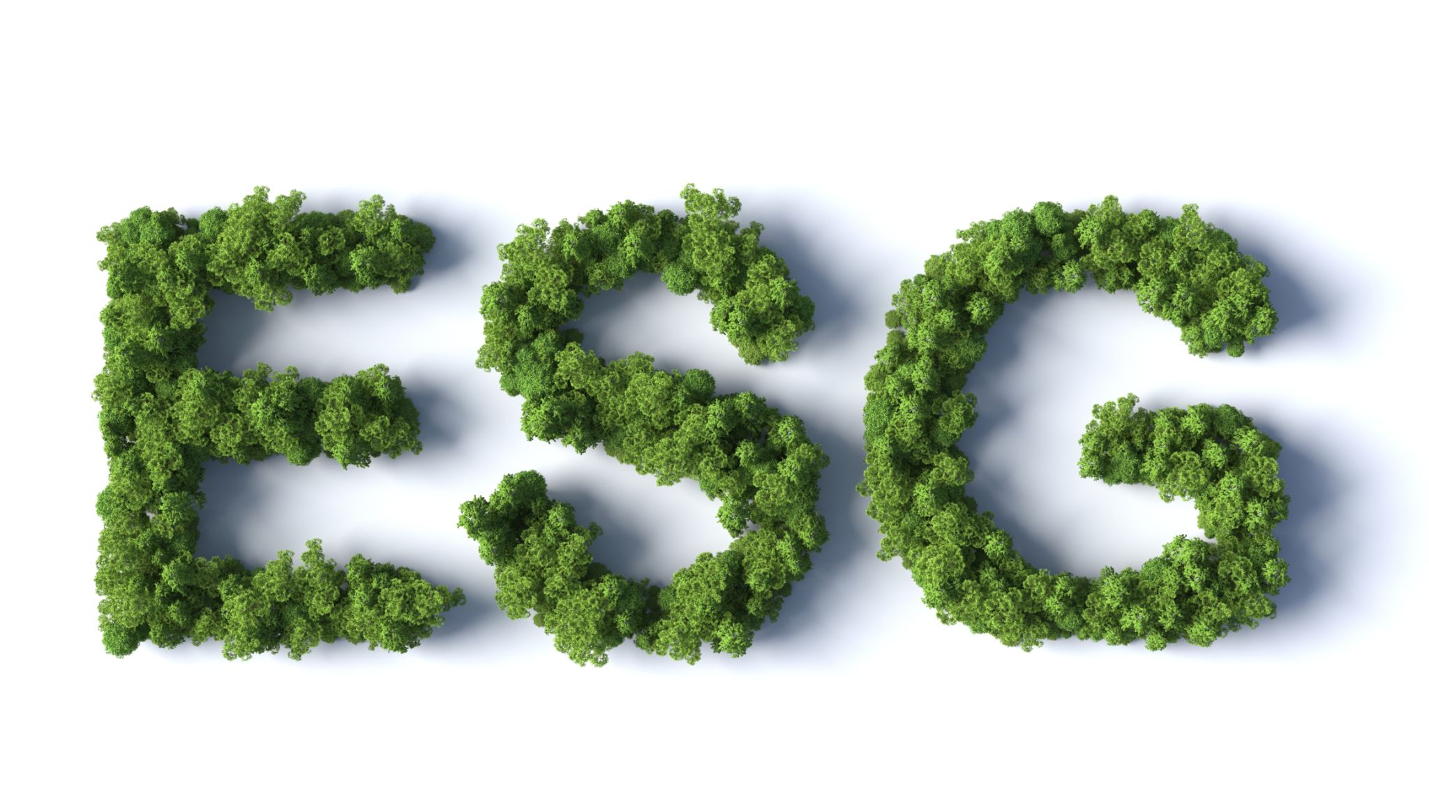 Forest ESG Forest ESG