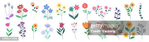 illustrations, cliparts, dessins animés et icônes de collection de fleurs - fleur