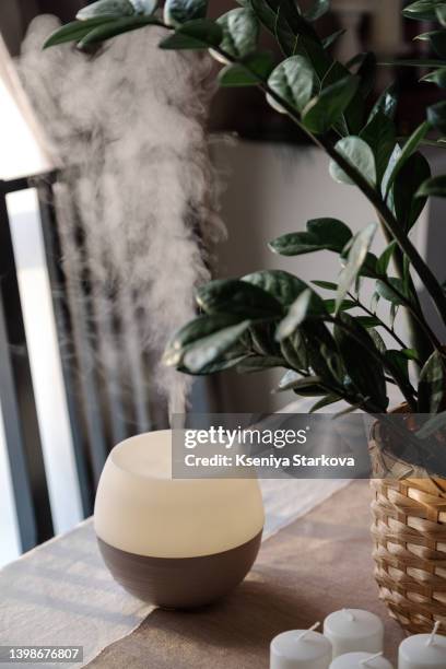 humidifier stands on the table next to candles and a flower in a pot in the interior of the house - humidifier - fotografias e filmes do acervo