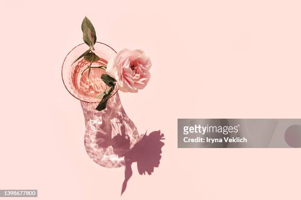 summer scene with pink rose flower in the vase. sun and shadow. minimal nature background. - green which rose stock-fotos und bilder