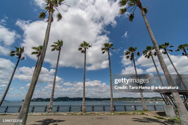 summer clouds over the beach in kanagawa of japan - zushi kanagawa stockfoto's en -beelden