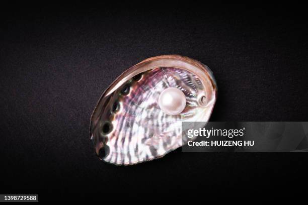 abalone shell and pearl - pearl stock pictures, royalty-free photos & images