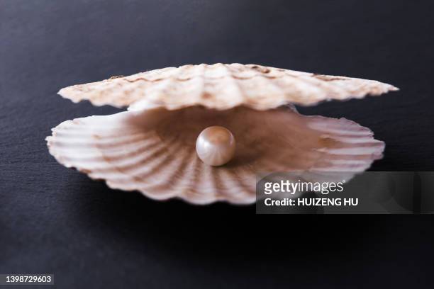 seashell with pearl - pearl stock pictures, royalty-free photos & images