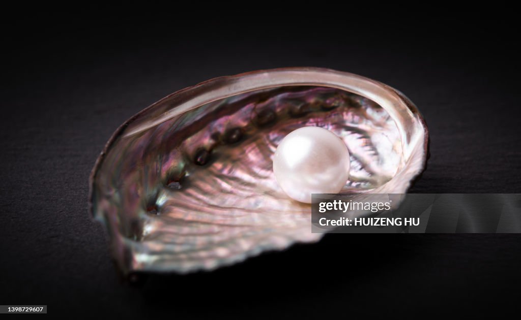 Abalone Shell and Pearl