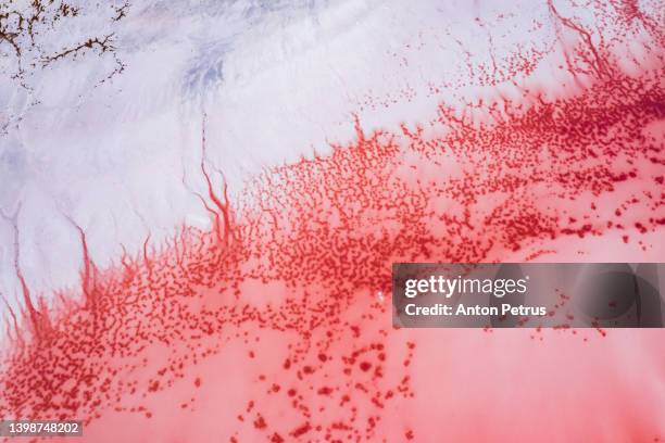 aerial view of the salty pink lake. genichesk, ukraine - sel minéraux photos et images de collection