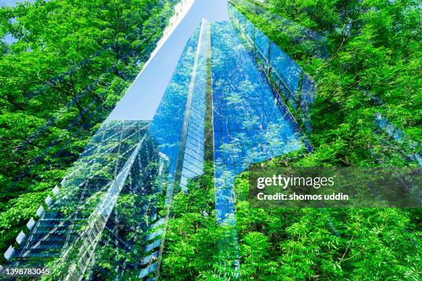 composite of trees and office buildings in city of london - banker doppelbelichtung stock-fotos und bilder