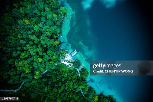 direkt über dem obersee im sommer im nationalpark berchtesgaden - environmental damage stock-fotos und bilder