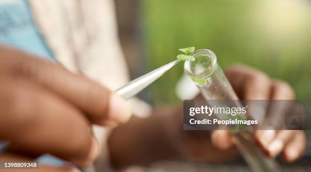 hand of botanist putting plant sample into test tube. Closeup of farmer collecting research sample. farmer putting sample into vial. Biologist using plant sample for chemistry.