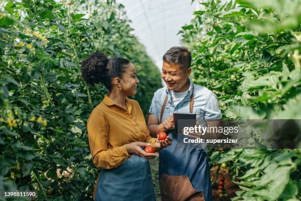 podemos ajudá-lo - mixed farming - fotografias e filmes do acervo