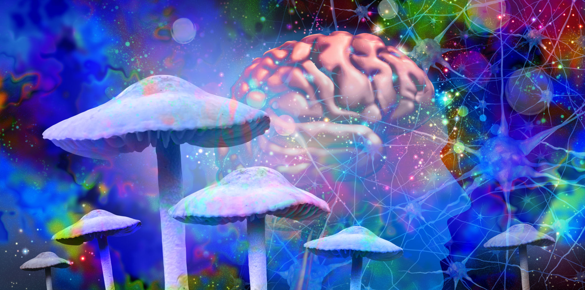 psychedelic therapy