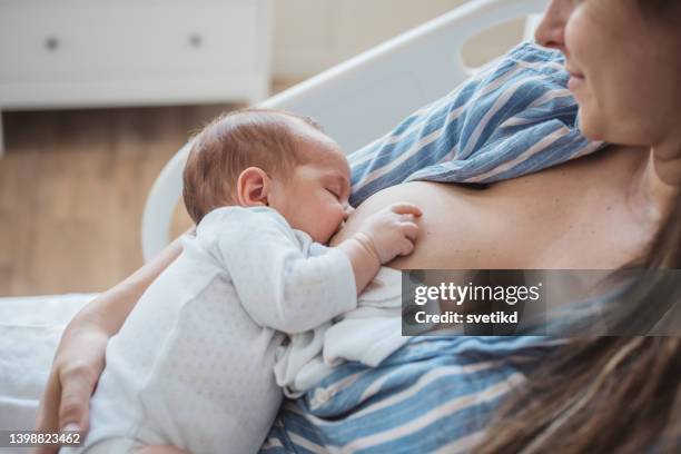 new born baby with his mother at hospital ward - infant feeding stock pictures, royalty-free photos & images