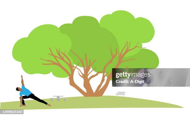 majestic park tree flat design - warrior pose stock illustrations
