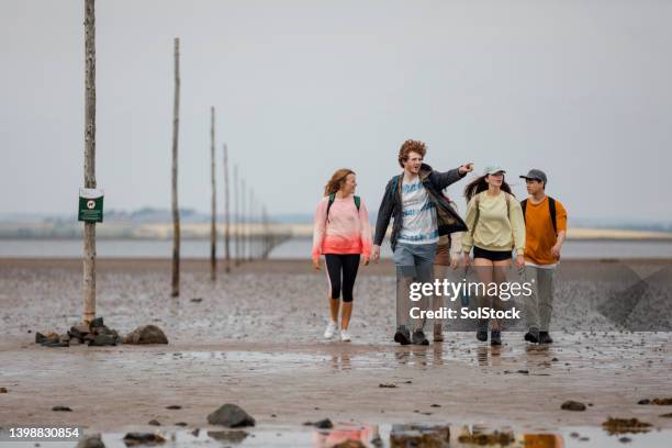 walking on the low tide - lindisfarne stock pictures, royalty-free photos & images