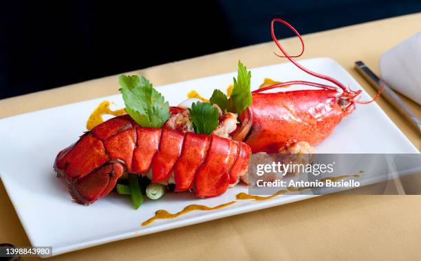 american lobster - boiled stock pictures, royalty-free photos & images