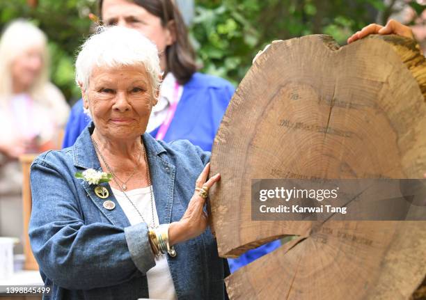 Dame Judy Dench attends the Chelsea Flower Show on May 23, 2022 in London, England.