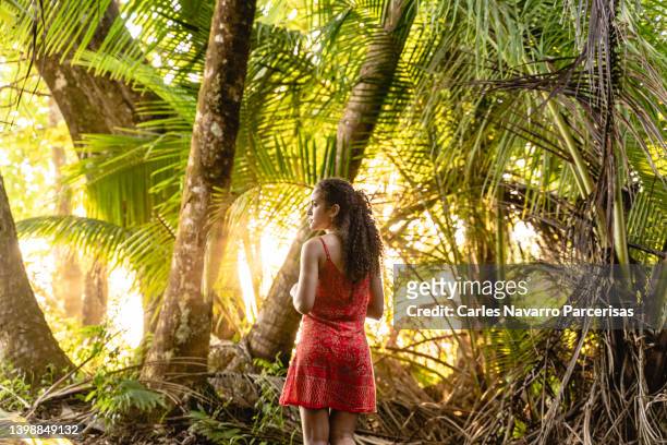 back of a woman looking aside while standing in a rainforest during sunrise - costa rica forest stock pictures, royalty-free photos & images