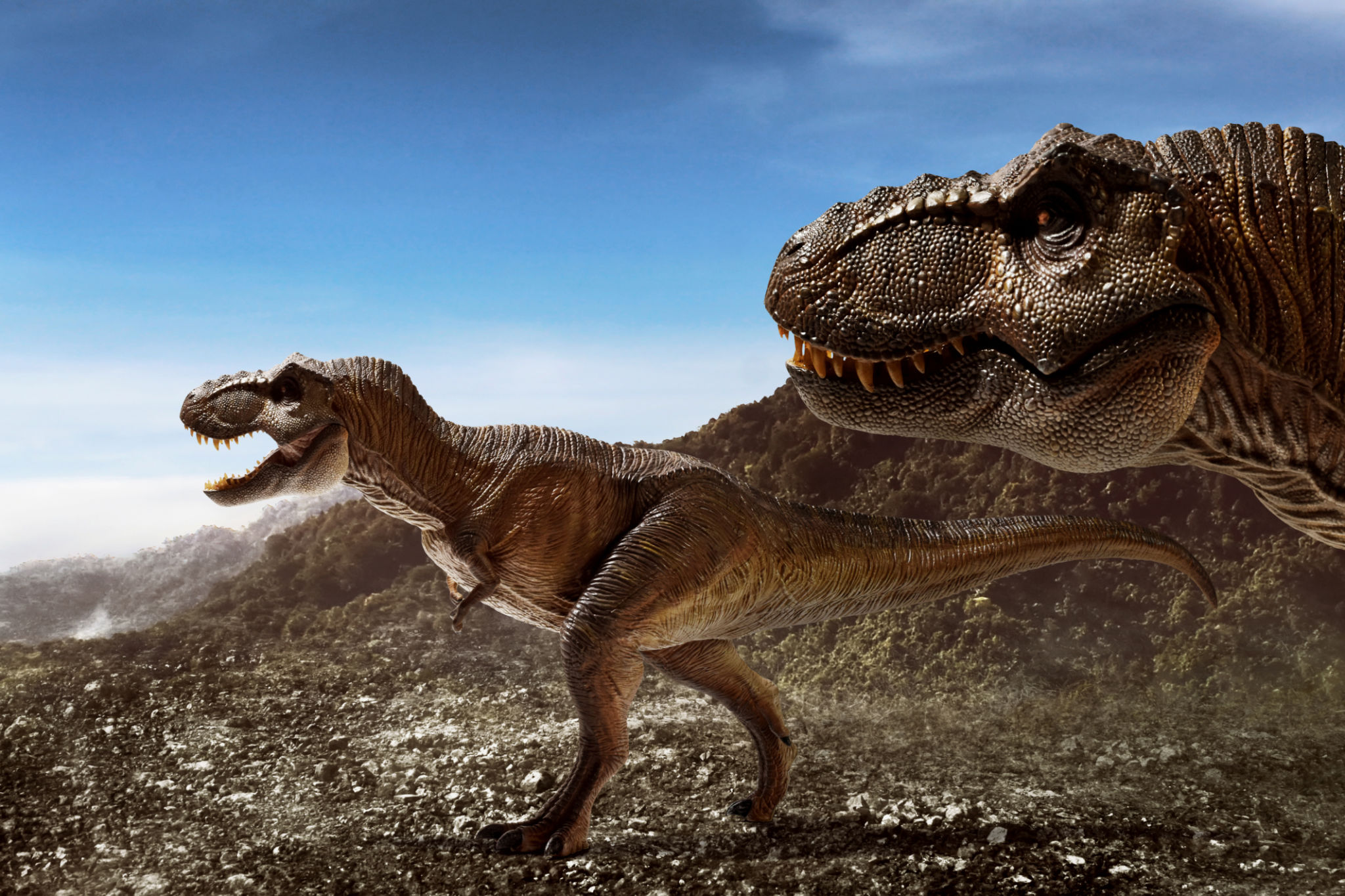 Dinosaurs tyrannosaurus rex on top mountain Dinosaurs tyrannosaurus rex on top mountain