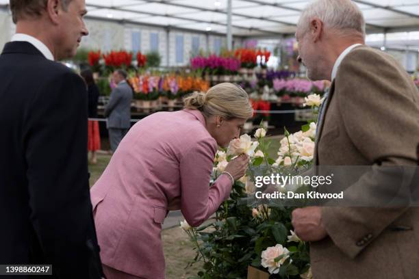 Sophie, Countess of Wessex smells a rose on the 'Harkness Roses' stand on May 23, 2022 in London, England. On the stand was another rose, The John...