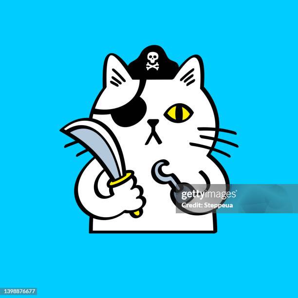 white cat pirate - pirate hat stock illustrations