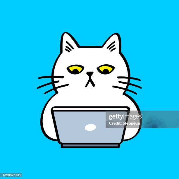 illustrations, cliparts, dessins animés et icônes de chat blanc avec ordinateur portable - chat humour