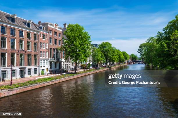 trees next to the canal and traditional architecture in amsterdam, holland - céu claro - fotografias e filmes do acervo