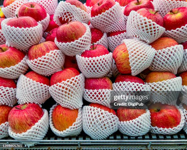 fuji apples with cushions in the rack - リンゴ ストックフォトと画像