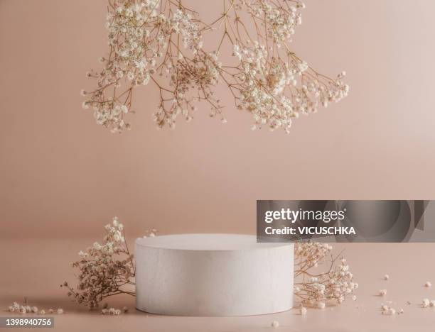 empty podium with gypsophila flowers at beige background. scene stage showcase - gypsophila stock pictures, royalty-free photos & images