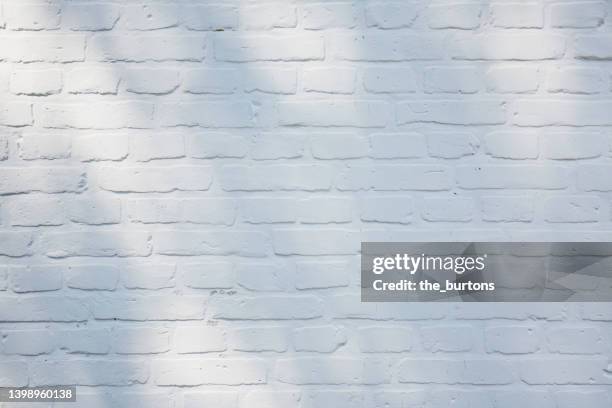 white painted brick wall with grazing light and shadows from a tree - white brick stockfoto's en -beelden